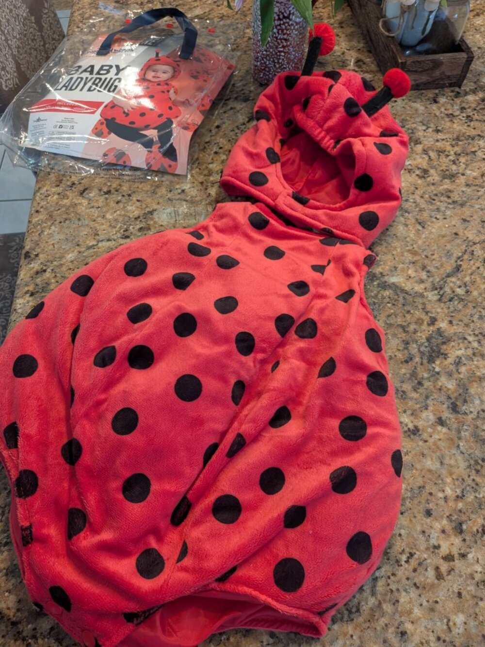 Dress Up America Ladybug Costume- 12-24 Months - Picture 2 of 4